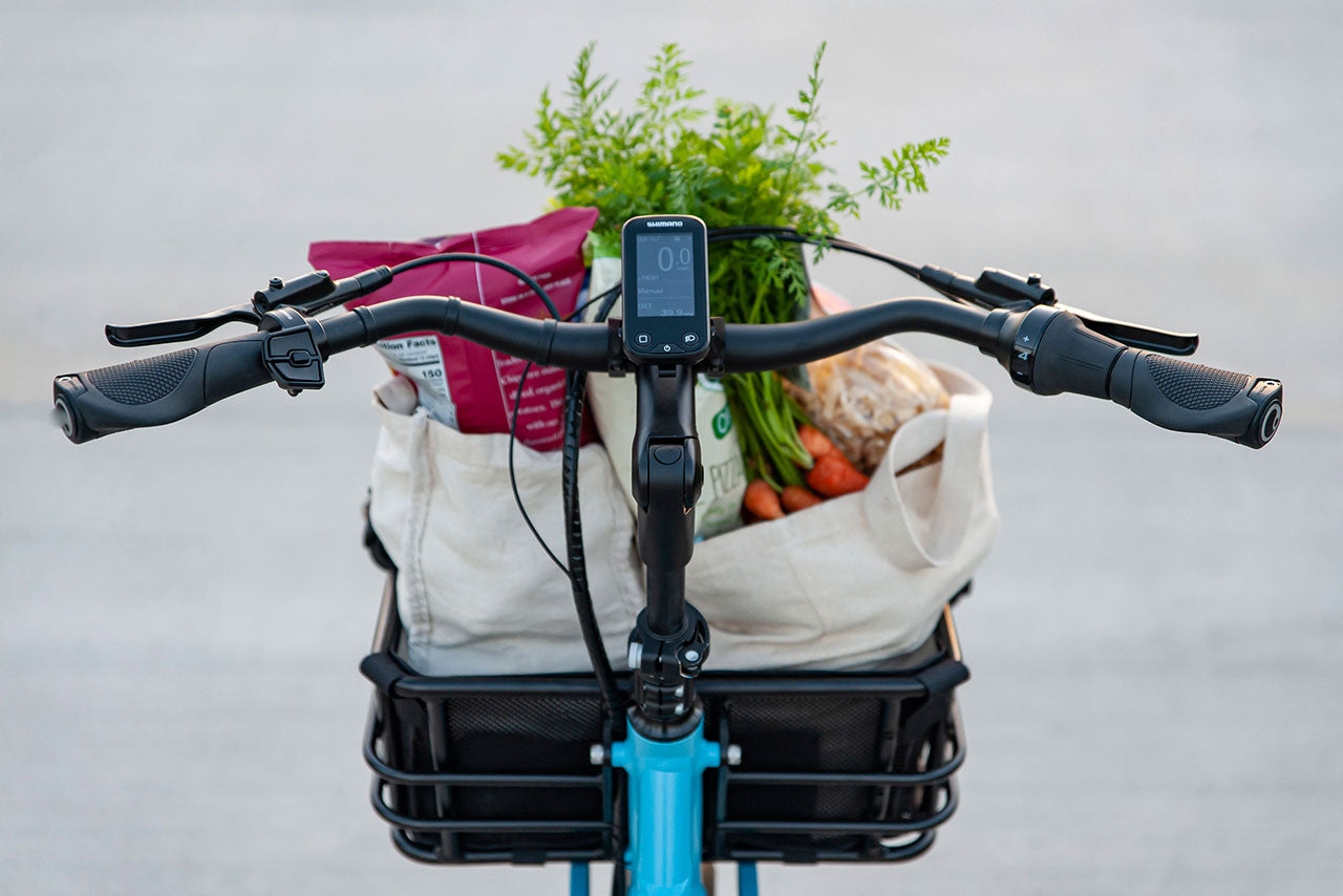 Loden One Lastenrad